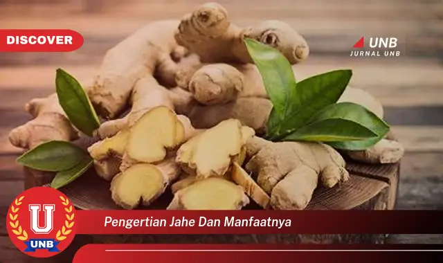 pengertian jahe dan manfaatnya