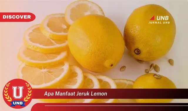 apa manfaat jeruk lemon