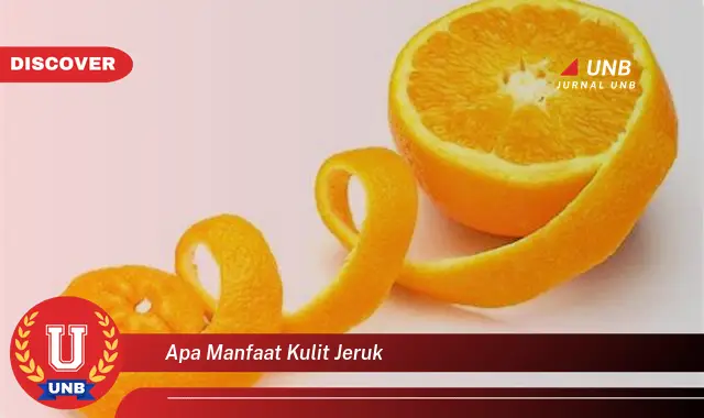 apa manfaat kulit jeruk apa manfaat kulit jeruk