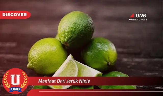 manfaat dari jeruk nipis