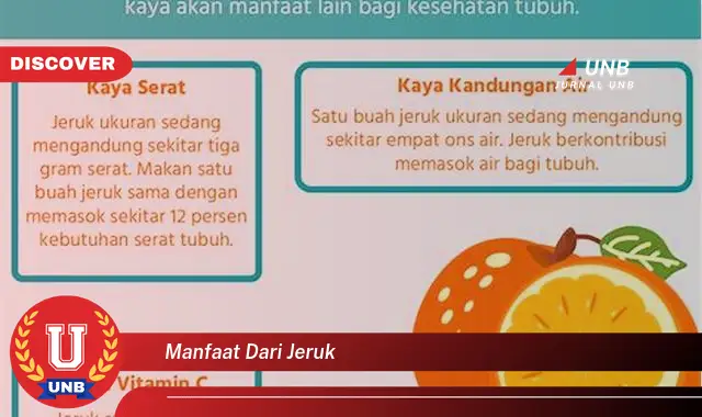 manfaat dari jeruk
