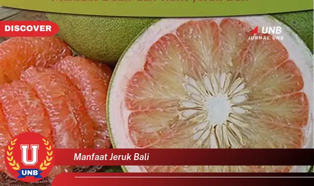 manfaat jeruk bali