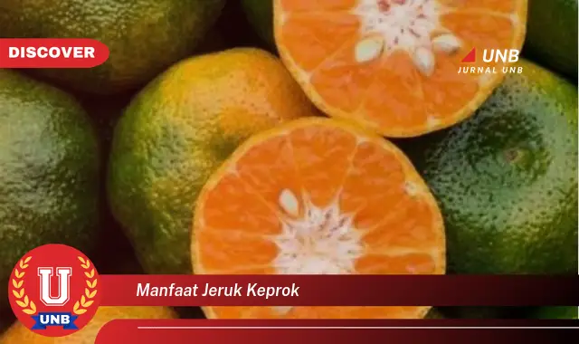 manfaat jeruk keprok manfaat jeruk keprok