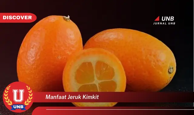 manfaat jeruk kimkit