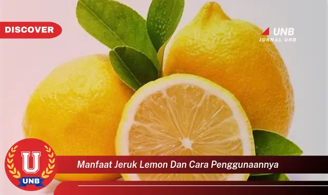 manfaat jeruk lemon dan cara penggunaannya