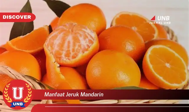 manfaat jeruk mandarin