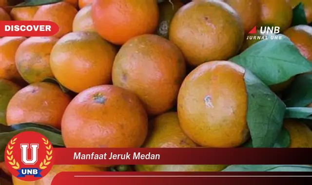 manfaat jeruk medan