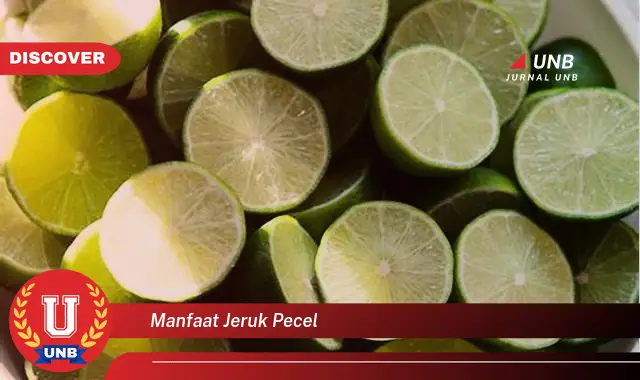 manfaat jeruk pecel