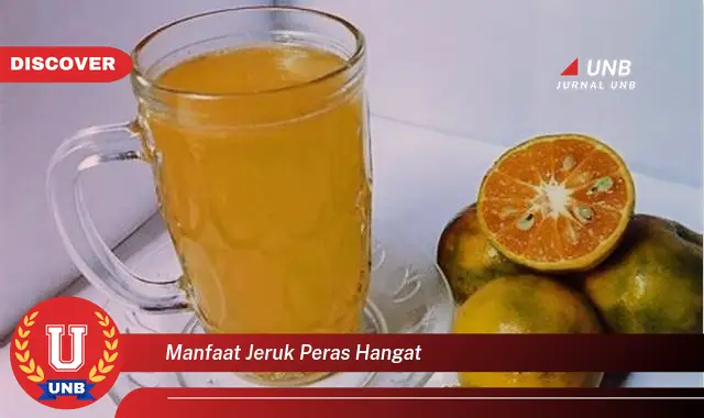 manfaat jeruk peras hangat manfaat jeruk peras hangat