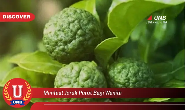 manfaat jeruk purut bagi wanita manfaat jeruk purut bagi wanita