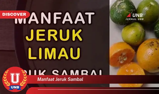 manfaat jeruk sambal