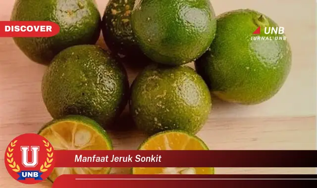 manfaat jeruk sonkit