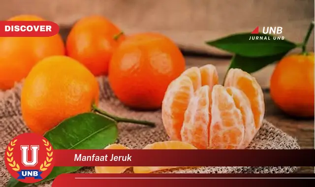 manfaat jeruk