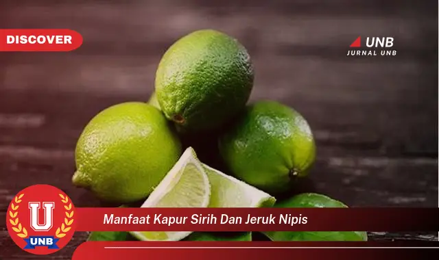 manfaat kapur sirih dan jeruk nipis