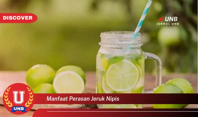 manfaat perasan jeruk nipis