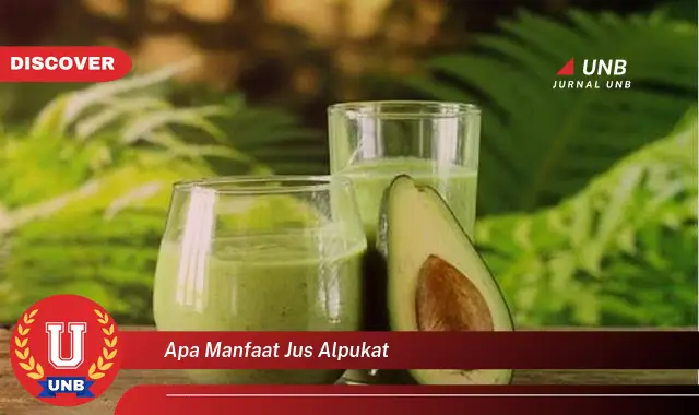 apa manfaat jus alpukat