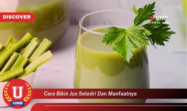 cara bikin jus seledri dan manfaatnya