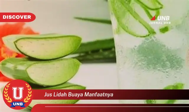 Intip Manfaat Jus Lidah Buaya Yang Bikin Kamu Penasaran