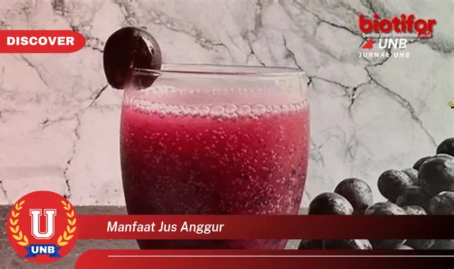 manfaat jus anggur