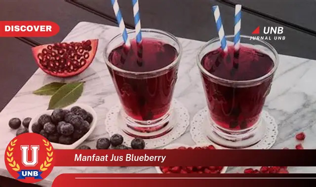 manfaat jus blueberry manfaat jus blueberry