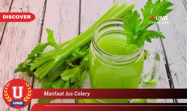 manfaat jus celery manfaat jus celery
