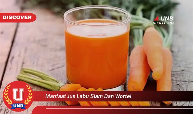 manfaat jus labu siam dan wortel