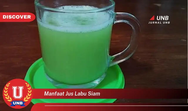 manfaat jus labu siam