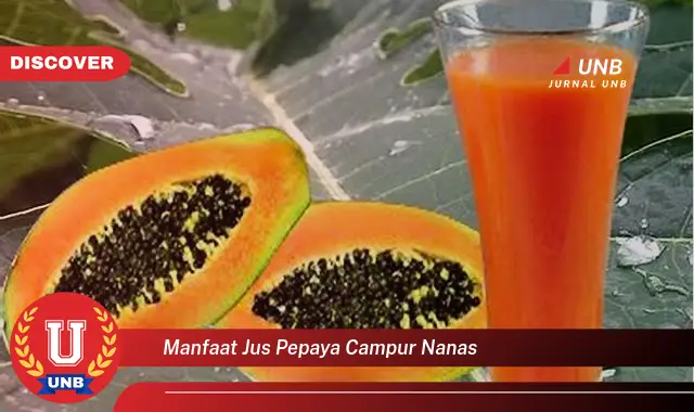manfaat jus pepaya campur nanas