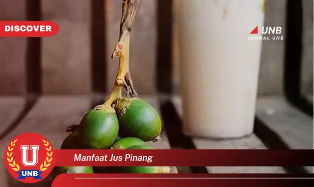 manfaat jus pinang manfaat jus pinang