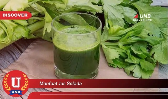 manfaat jus selada