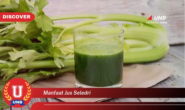 manfaat jus seledri