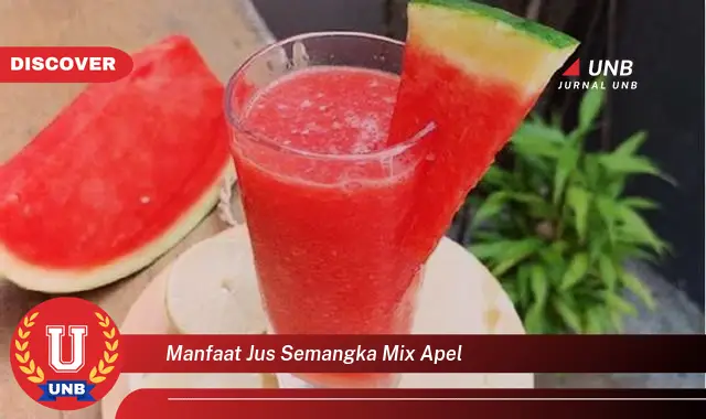 manfaat jus semangka mix apel