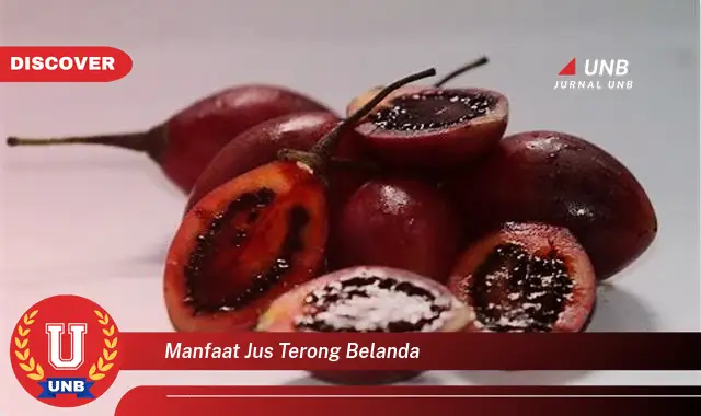 manfaat jus terong belanda