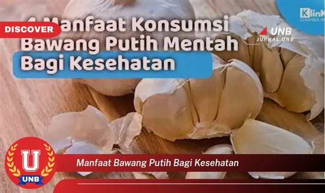 manfaat bawang putih bagi kesehatan