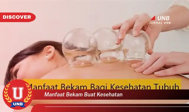 manfaat bekam buat kesehatan