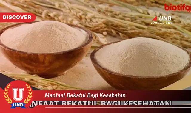 manfaat bekatul bagi kesehatan
