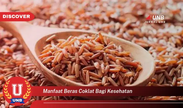 manfaat beras coklat bagi kesehatan