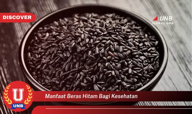 manfaat beras hitam bagi kesehatan