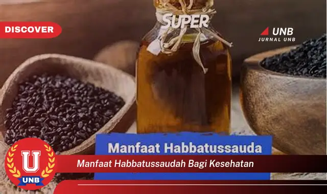 manfaat habbatussaudah bagi kesehatan manfaat habbatussaudah bagi kesehatan