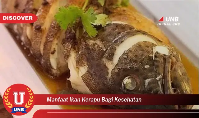 Temukan Manfaat Ikan Kerapu Bagi Kesehatan Yang Jarang Diketahui