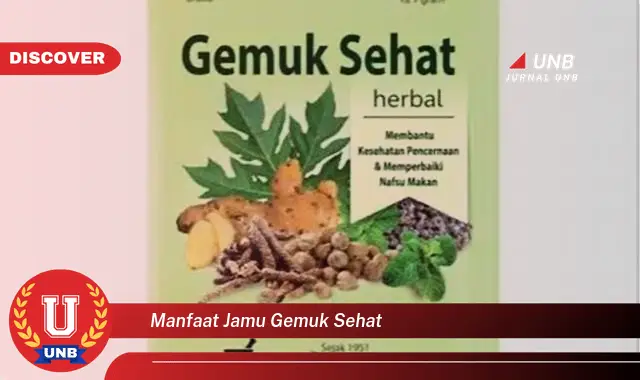 manfaat jamu gemuk sehat
