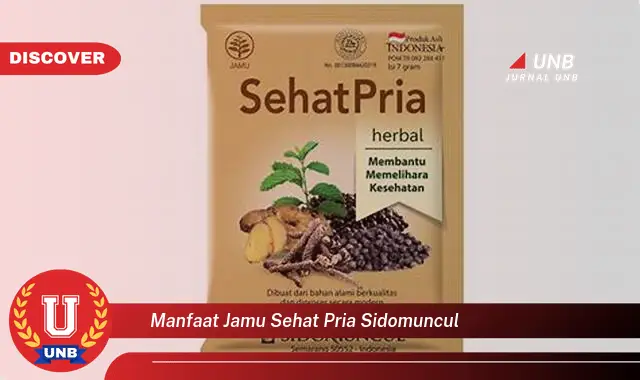 manfaat jamu sehat pria sidomuncul manfaat jamu sehat pria sidomuncul