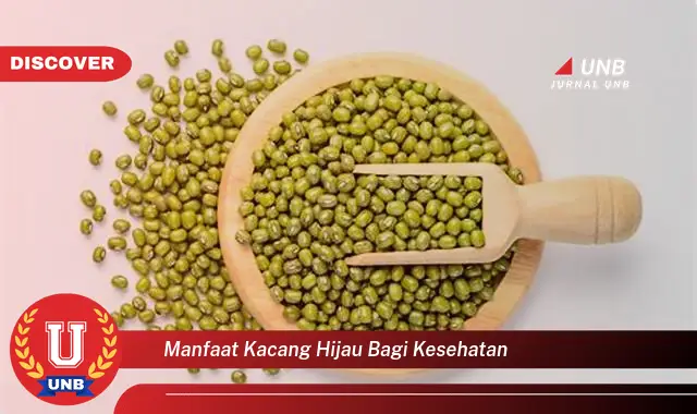 manfaat kacang hijau bagi kesehatan manfaat kacang hijau bagi kesehatan
