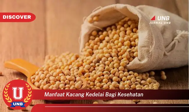manfaat kacang kedelai bagi kesehatan