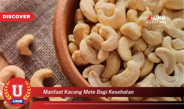 manfaat kacang mete bagi kesehatan manfaat kacang mete bagi kesehatan