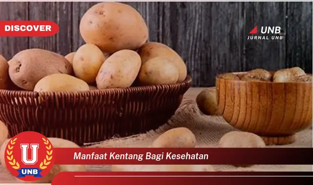 manfaat kentang bagi kesehatan