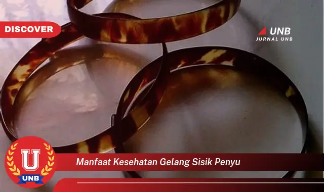 Intip 6 Manfaat Gelang Sisik Penyu yang Bikin Kamu Penasaran