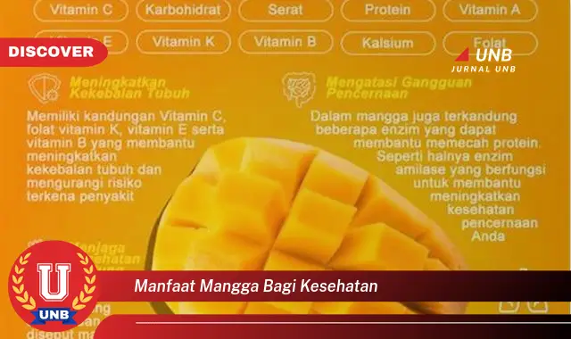 manfaat mangga bagi kesehatan