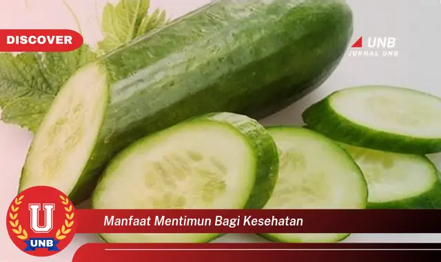 manfaat mentimun bagi kesehatan