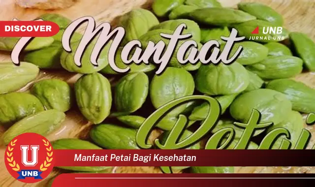 manfaat petai bagi kesehatan manfaat petai bagi kesehatan
